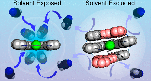 Polarity-Tolerant Chloride Binding in Foldamer Capsules by Programmed Solvent-Exclusion